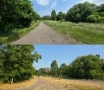 Косене на трева с тример, пръскане за кърлежи, София, снимка 1