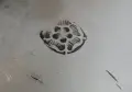Калаена фруктиера,салатиера,на крачета,1,2 кг. , снимка 5