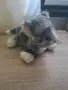 Плюшени коте икеа, снимка 2