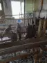 Фазани                     ., снимка 1