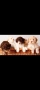 Lagotto Romanolio , снимка 3