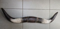 Сдвоени декоративни рога , снимка 1