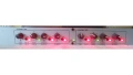 Професионален Кросоувър DBX 223S, снимка 4