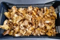 Гъби Сушени / Замразени Манатарка, Челадинка, Пачи крак, снимка 8