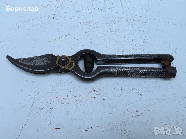 Лозарска ножица 