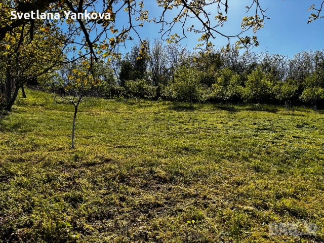 Продавам двор в Козлодуй 