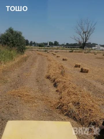овесена и ечемичена слама със зърно 