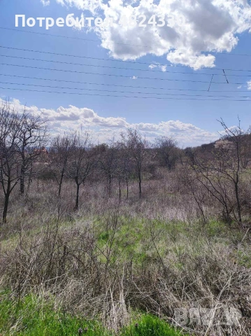 Продавам парцел село Доброглед вилна зона на 12км от Варна, снимка 3 - Парцели - 54501514