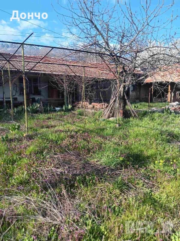 Продавам къща в село Тъжа, снимка 8 - Къщи - 54479523