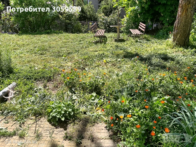 Косене на трева, рязане на дърва и храсти, снимка 2 - Градински цветя и растения - 54214341