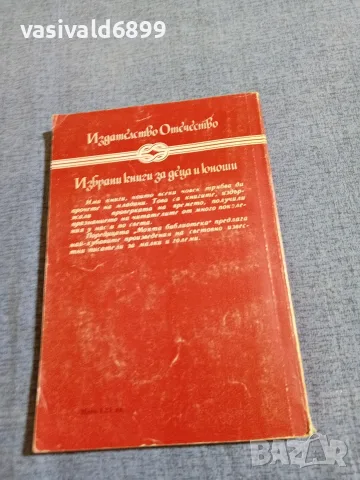 Жул Верн - Жангада , снимка 3 - Художествена литература - 55598864