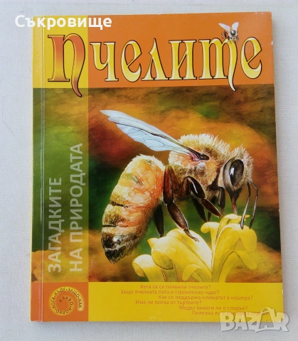Детска картонена книжка с капачета голям формат Пчелите Загадките на природата