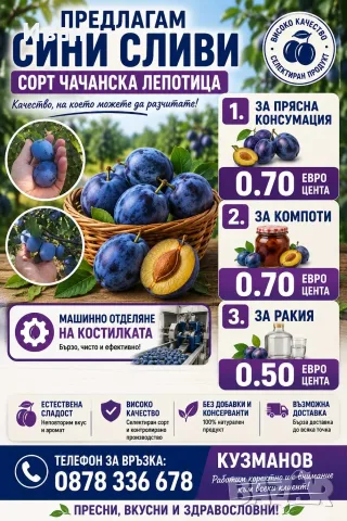 Продаваме сини сливи