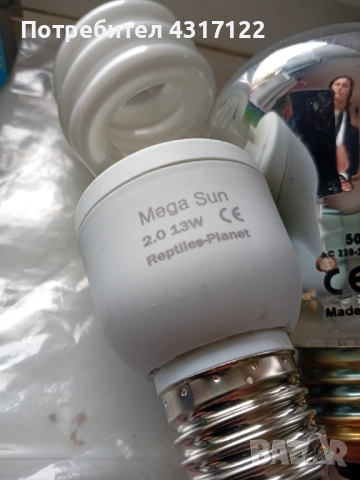 За влечуги и хамелеони и варани, снимка 13 - Други - 54014858