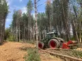 Почистване на терени с горски мулчер и трактор, снимка 1