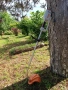 STIHL FSE 81 , снимка 1
