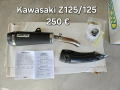 Оригинални ауспуси ARROW за Kawasaki Z125 Ninja125 2019-2025г и цяла генерация за W800 2020г, снимка 1