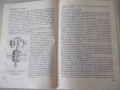 Книга "Практическо р-во по фотография-Д. Китанов" - 452 стр., снимка 4