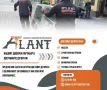 Tоваро-разтоварни услуги и преместване , снимка 8
