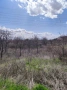Продавам парцел село Доброглед вилна зона на 12км от Варна, снимка 3
