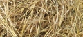 Продавам рулонни бали смес Ечемик, Овес и Пшеница със зърно, снимка 5