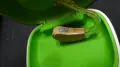 Слухов апарат PHONAK Milo Plus, снимка 2