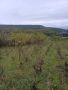 Продава се парцел 5200 м2 с ток и вода и два кладенеца в гр Аксаково , снимка 1