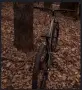 drag shif 3.1 колело СПЕШНО!!!, снимка 3