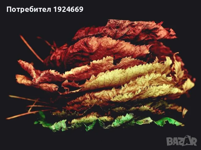 Гирлянд Коледна светещо LED топки 50 светлинки 7A8Q, снимка 5 - Стойки, 3D очила, аксесоари - 55445673