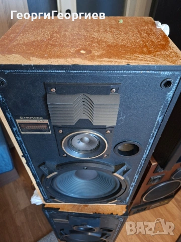 Pioneer CS-970 озвучителни тела. , снимка 4 - Тонколони - 55153587