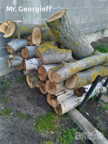 Орехови трупи - 1 куб.м