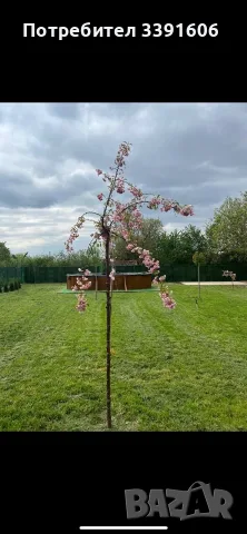ПРОДАВАМ КЪЩА С.БЕЛИ БРОД, снимка 11 - Къщи - 55342747