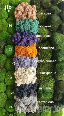 Скандинавски мъх за живи стени, панаСкандинавски мъх, снимка 2 - Декорация за дома - 36784939