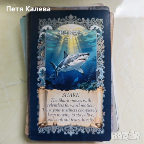 Animal Oracle 