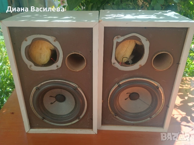 Bose interaudio-1000, снимка 2 - Тонколони - 54878395