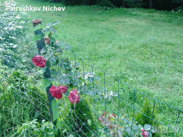 Парцел , снимка 8 - Земеделска земя - 54925133