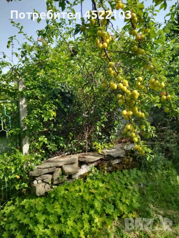 Продавам къща с голям двор, снимка 3 - Къщи - 54974195