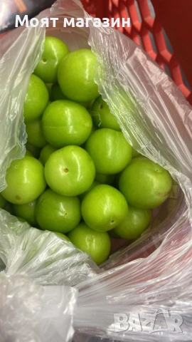 Зелени Сливи на килограм 25. 04. 2026