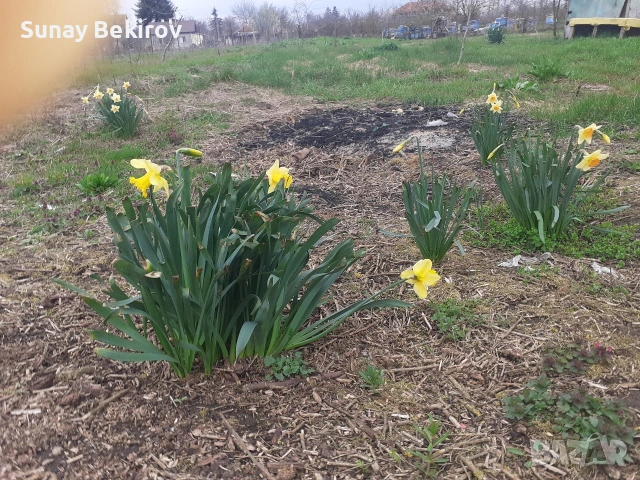 Парцел с. Безводица 