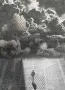книга "Ковид отделение" от Янчо Чолаков, снимка 5