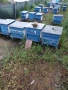 Продавам пчелни отводки с кошер и магазини – 7 рамкови., снимка 1