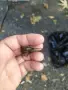 Стар медицински инструмент 19 век, снимка 3