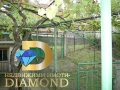 Двуетажна къща в село Главан, обл. Стара Загора, снимка 7