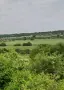 Продава се Парцел в ид.ч. в с.Градец, обл.София, снимка 3