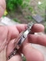 Винтидж швейцарски часовник автомат, снимка 5
