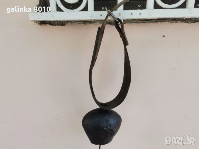 Стара голяма хлопка