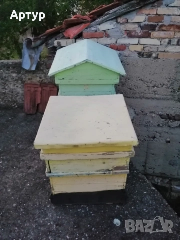 Кошери, снимка 2 - За пчели - 54332269