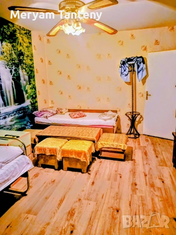 Стая под наем в Димитровград , снимка 3 - Стаи под наем - 55217502