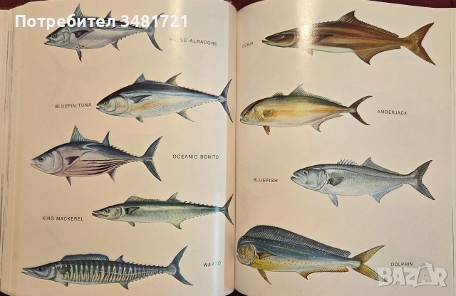 Complete Outdoors Encyclopedia, снимка 17 - Други - 55064821