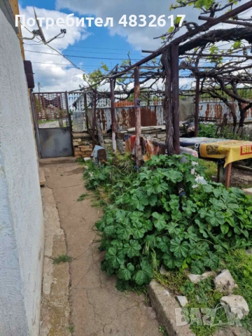 Къща в с. Тодорово, област Плевен, снимка 10 - Къщи - 54608775